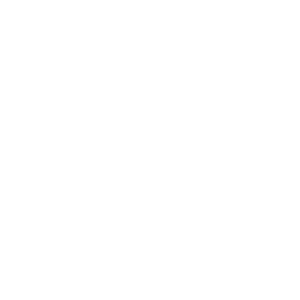 Spotify Icon